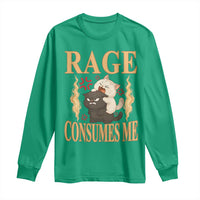 Cute Cat Long Sleeve Shirt Rage Is Consuming Me - Wonder Print Shop