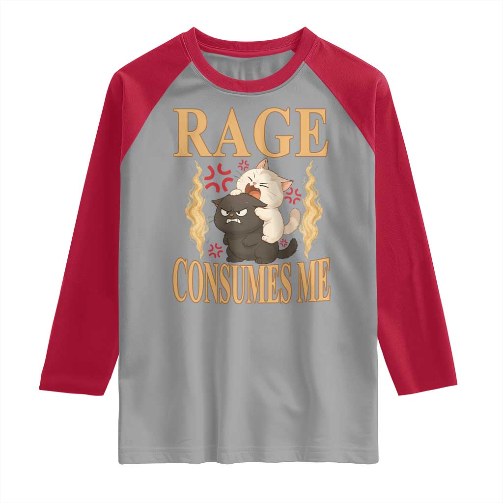Cute Cat Raglan Shirt Rage Is Consuming Me - Wonder Print Shop
