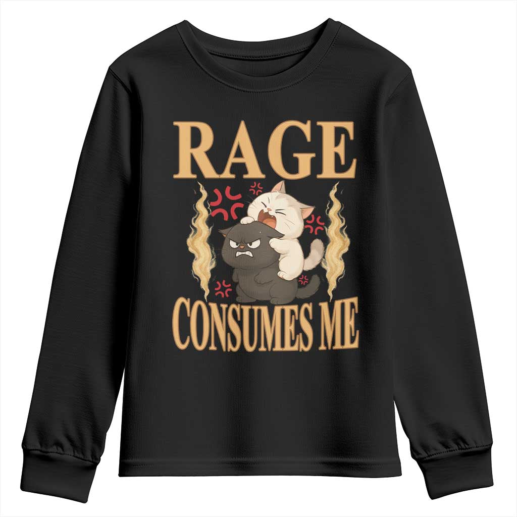 Cute Cat Youth Sweatshirt Rage Is Consuming Me - Wonder Print Shop