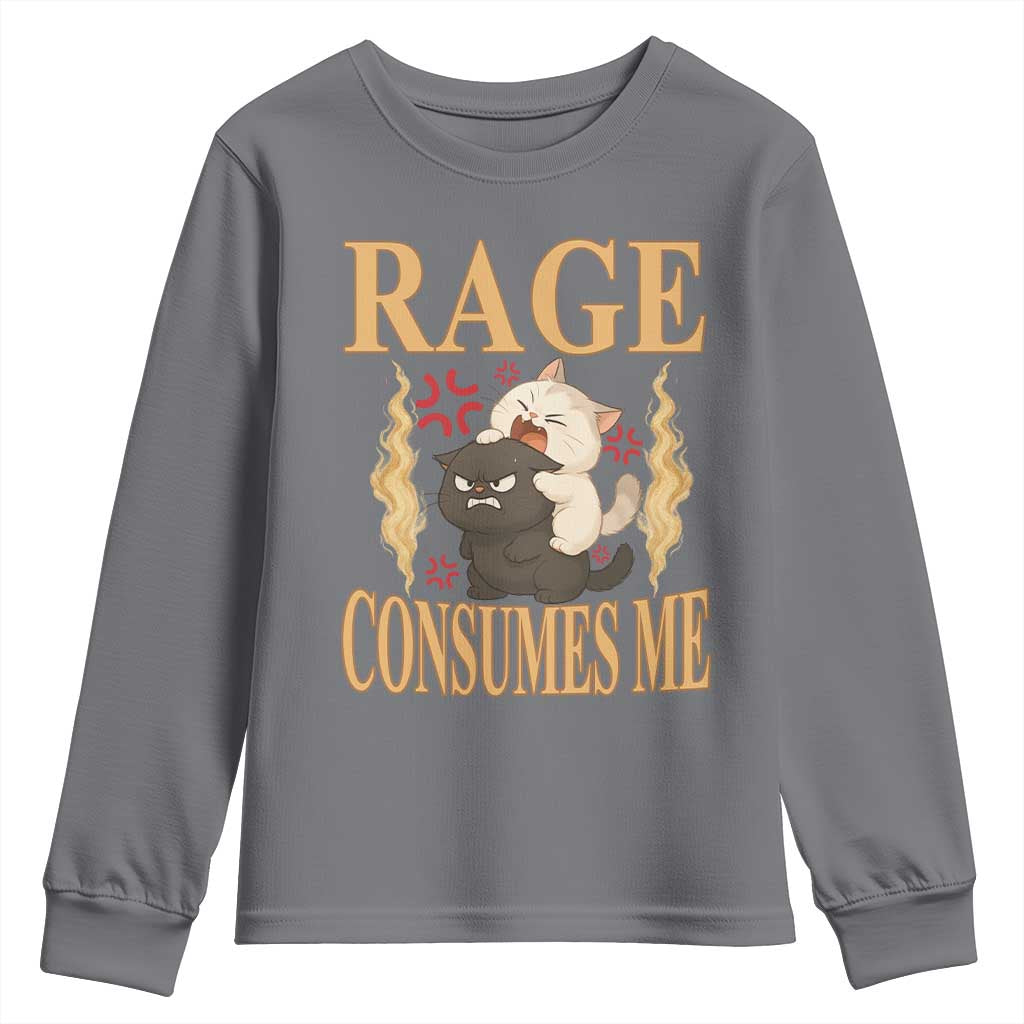 Cute Cat Youth Sweatshirt Rage Is Consuming Me - Wonder Print Shop