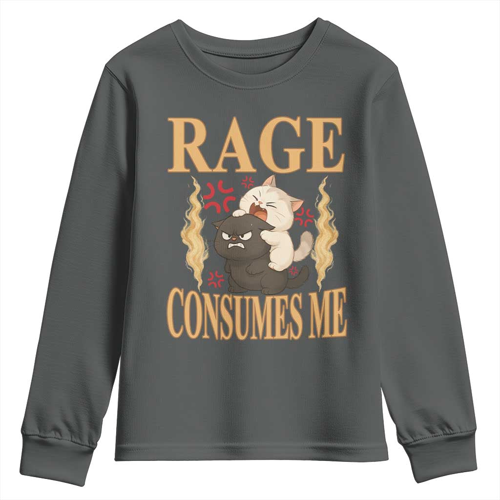 Cute Cat Youth Sweatshirt Rage Is Consuming Me - Wonder Print Shop