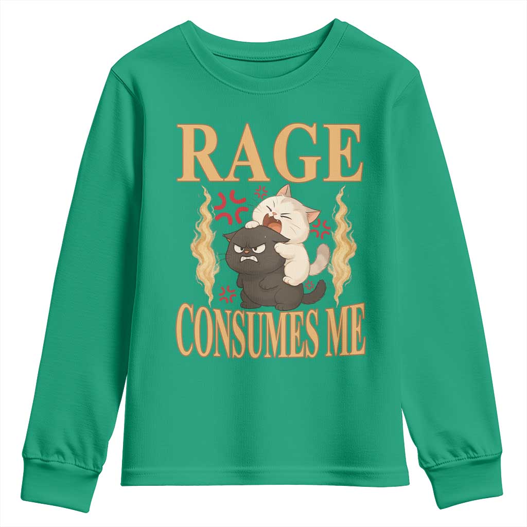 Cute Cat Youth Sweatshirt Rage Is Consuming Me - Wonder Print Shop