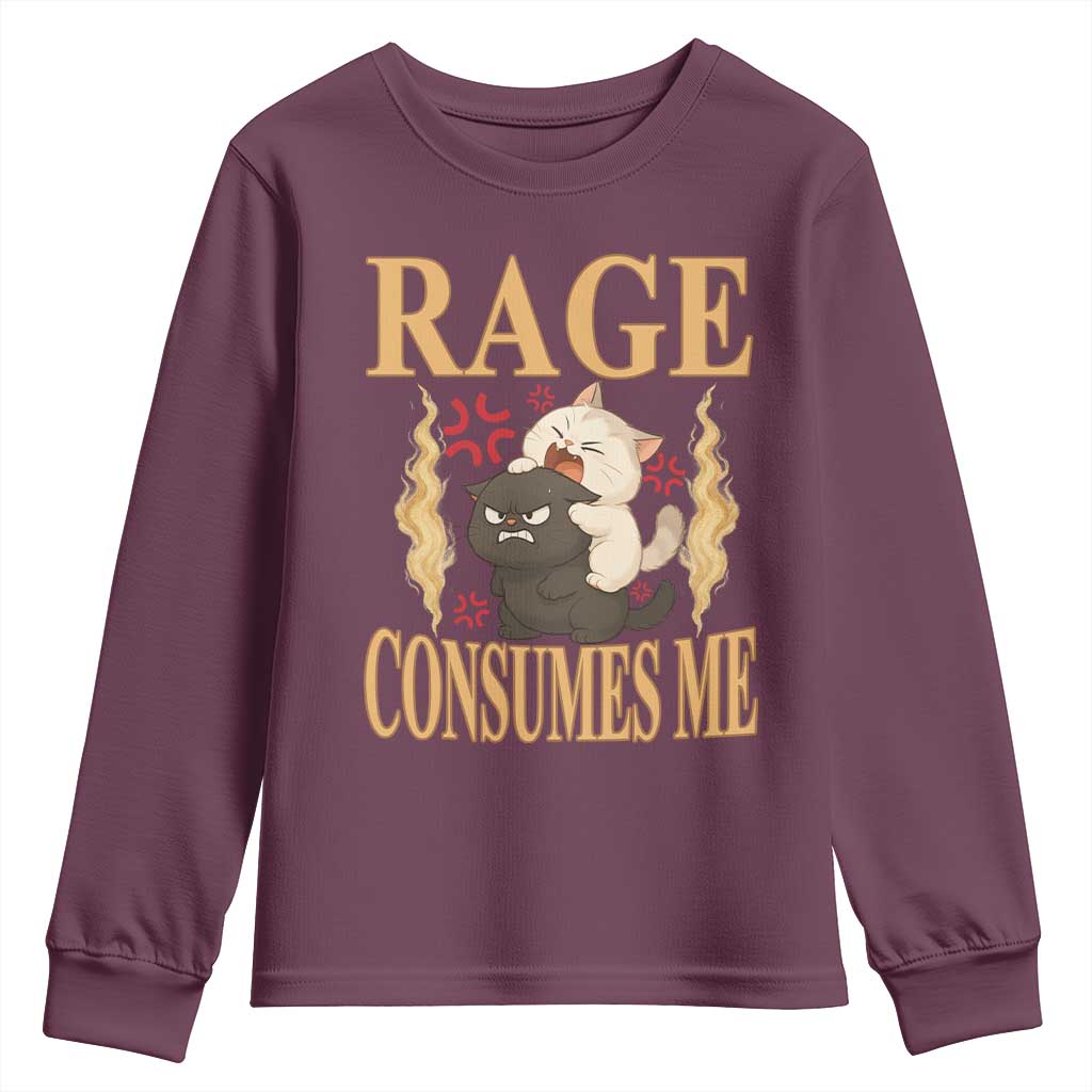Cute Cat Youth Sweatshirt Rage Is Consuming Me - Wonder Print Shop