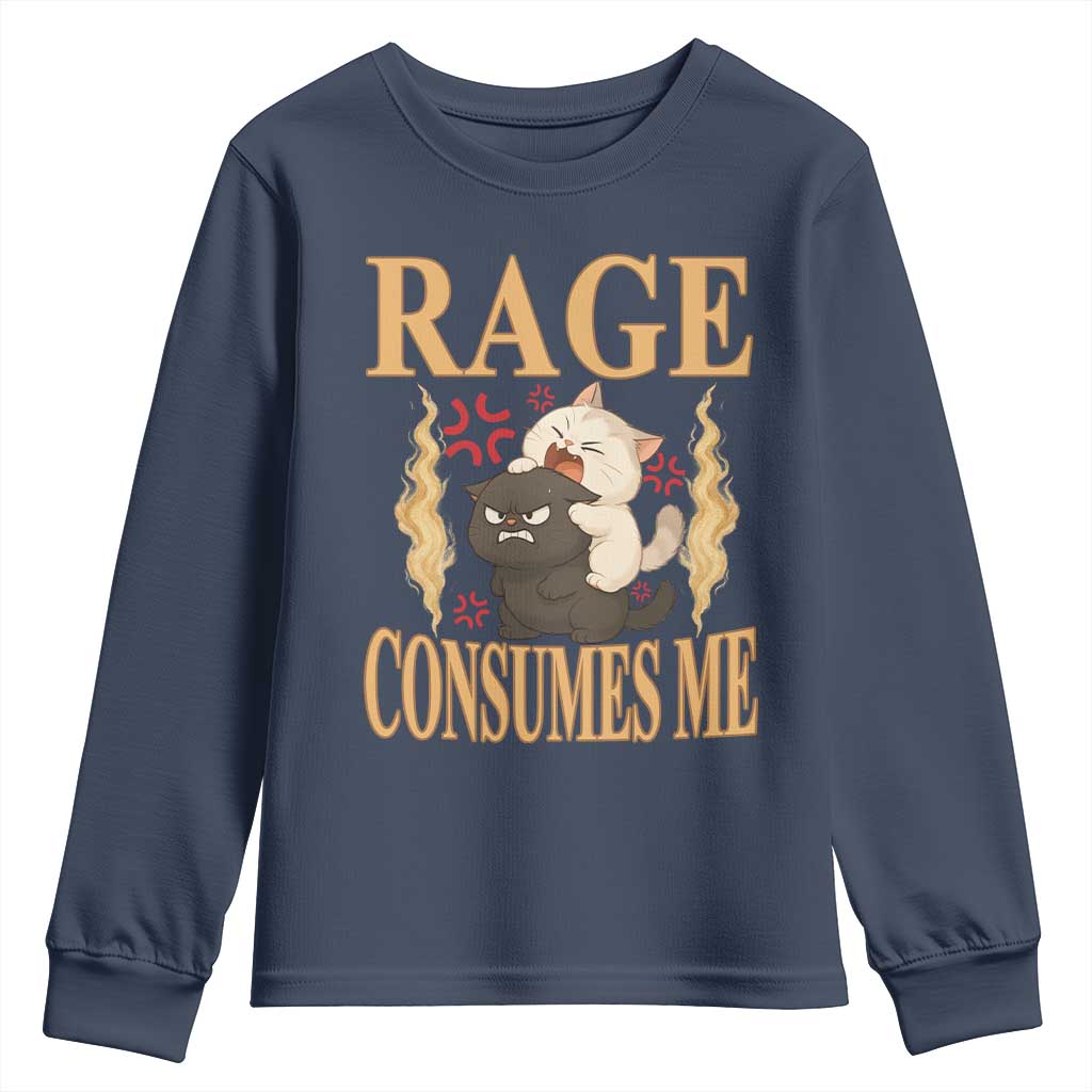Cute Cat Youth Sweatshirt Rage Is Consuming Me - Wonder Print Shop