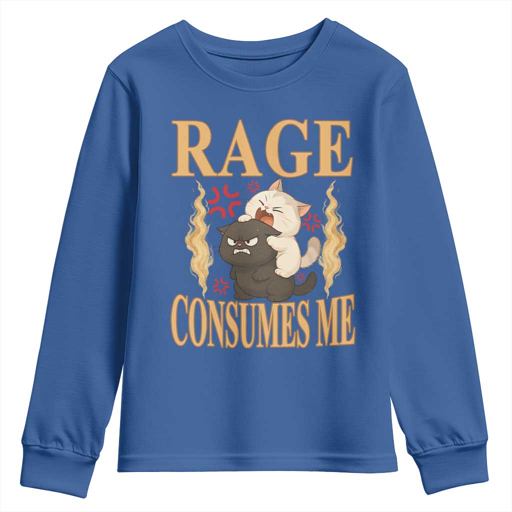 Cute Cat Youth Sweatshirt Rage Is Consuming Me - Wonder Print Shop
