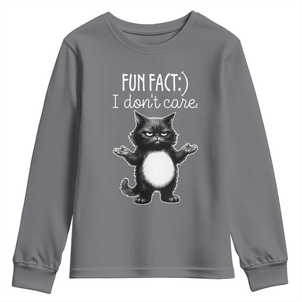 Funny Cat Lover Youth Sweatshirt Fun Fact I Do Not Care Quote - Wonder Print Shop