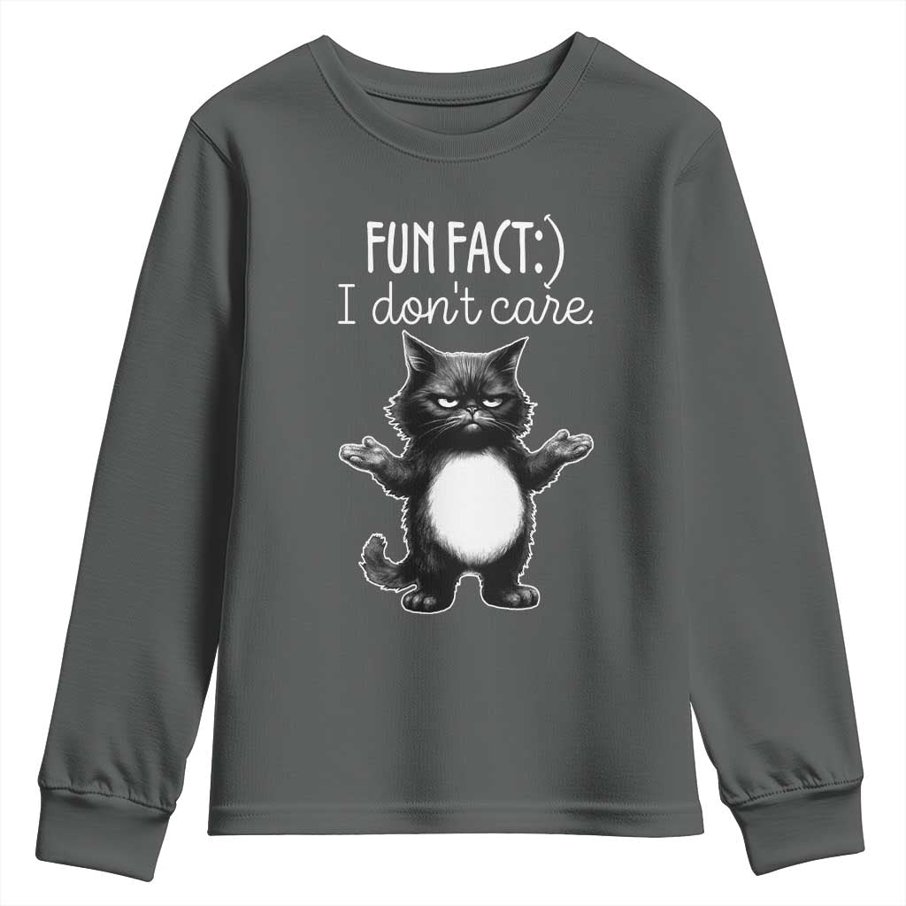 Funny Cat Lover Youth Sweatshirt Fun Fact I Do Not Care Quote - Wonder Print Shop
