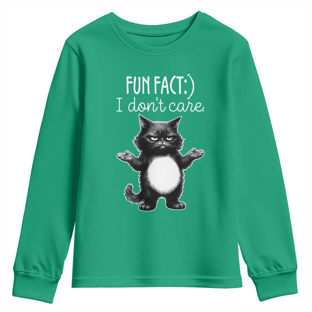 Funny Cat Lover Youth Sweatshirt Fun Fact I Do Not Care Quote - Wonder Print Shop