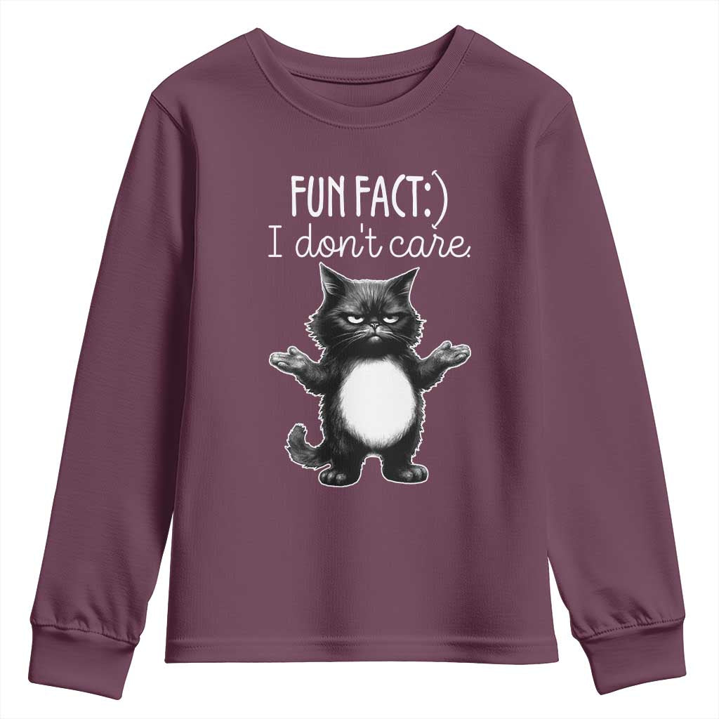 Funny Cat Lover Youth Sweatshirt Fun Fact I Do Not Care Quote - Wonder Print Shop