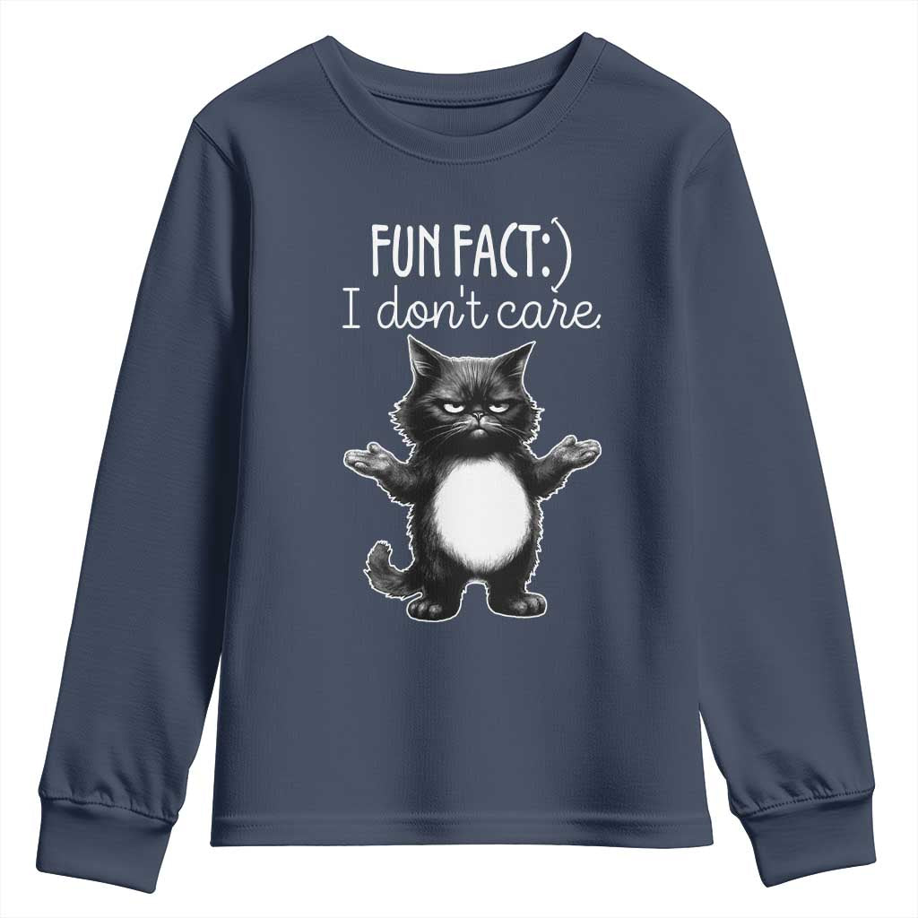 Funny Cat Lover Youth Sweatshirt Fun Fact I Do Not Care Quote - Wonder Print Shop