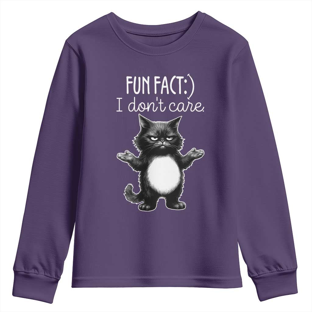 Funny Cat Lover Youth Sweatshirt Fun Fact I Do Not Care Quote - Wonder Print Shop