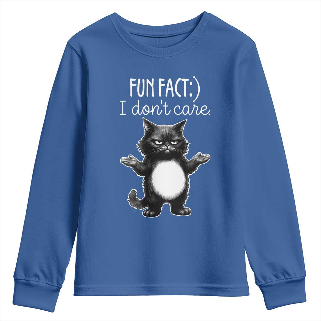 Funny Cat Lover Youth Sweatshirt Fun Fact I Do Not Care Quote - Wonder Print Shop