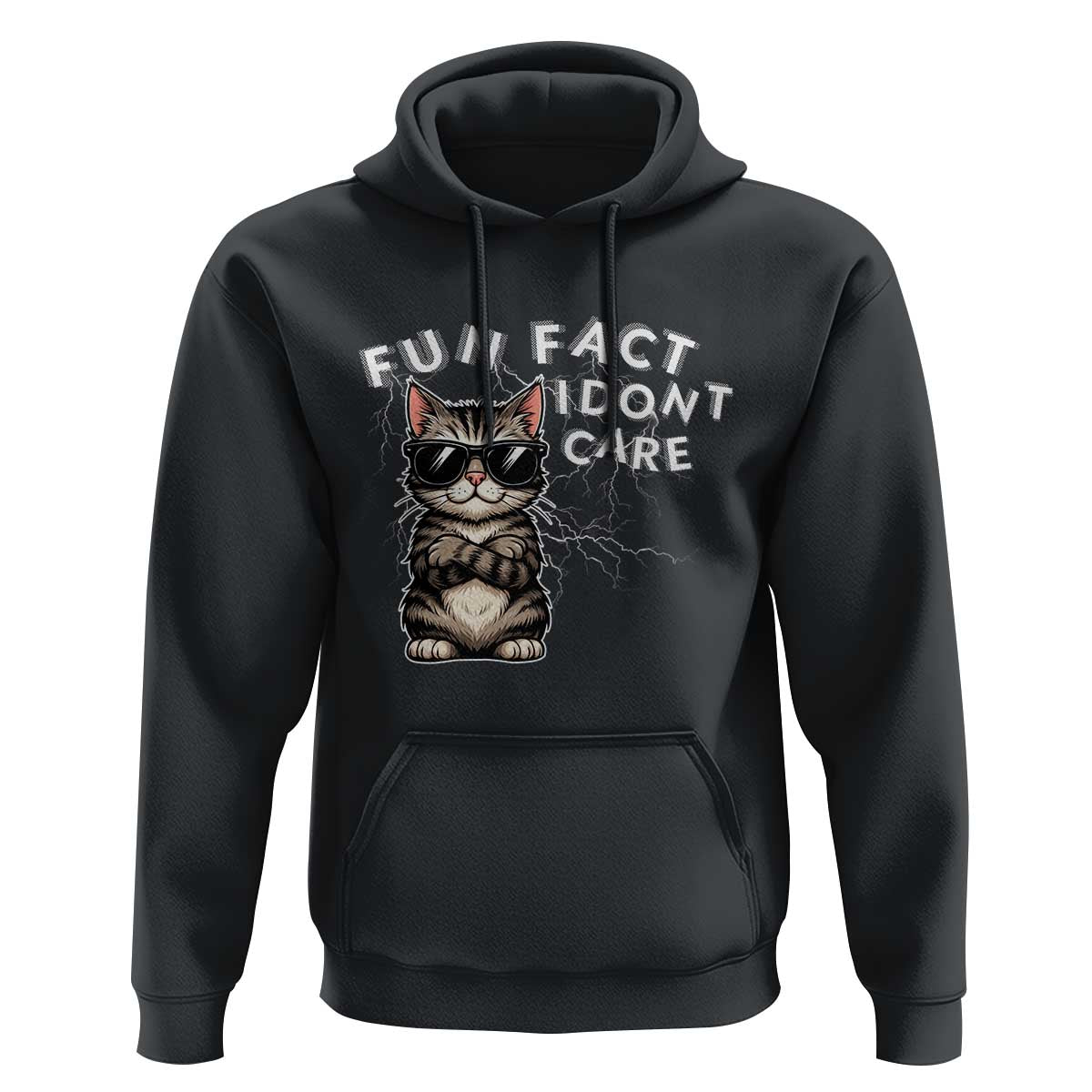 Fun Fact I Do Not Care Hoodie Grumpy Cat Lover - Wonder Print Shop