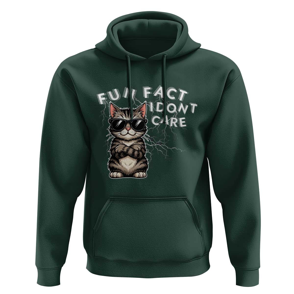 Fun Fact I Do Not Care Hoodie Grumpy Cat Lover - Wonder Print Shop