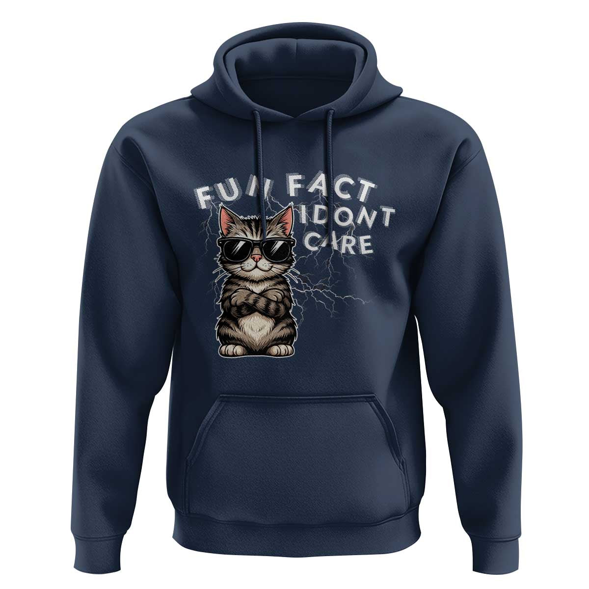 Fun Fact I Do Not Care Hoodie Grumpy Cat Lover - Wonder Print Shop
