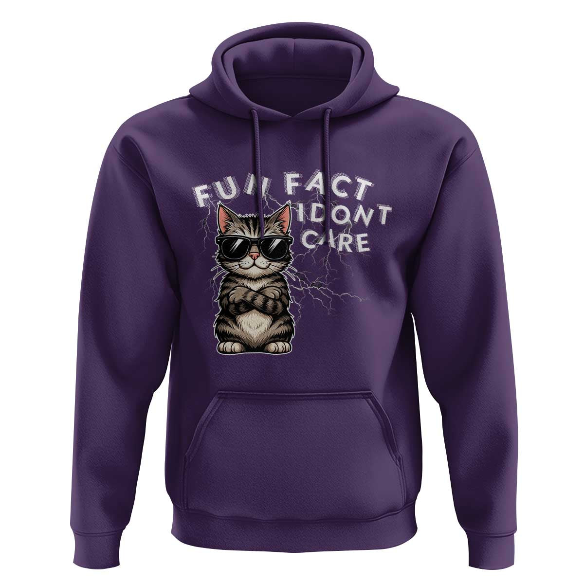 Fun Fact I Do Not Care Hoodie Grumpy Cat Lover - Wonder Print Shop