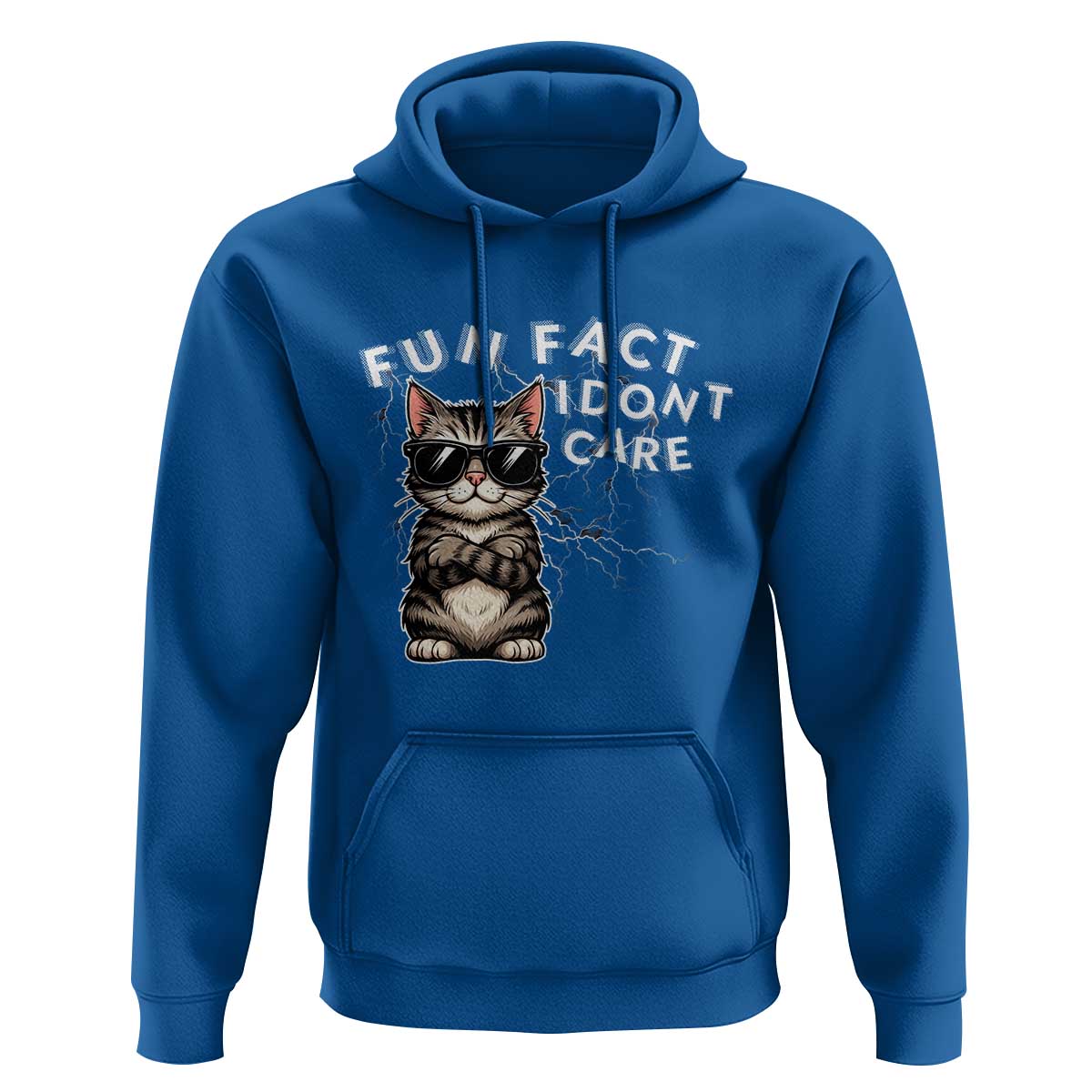 Fun Fact I Do Not Care Hoodie Grumpy Cat Lover - Wonder Print Shop