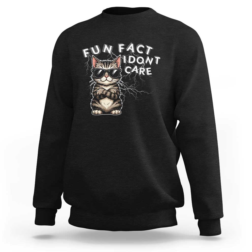 Fun Fact I Do Not Care Sweatshirt Grumpy Cat Lover - Wonder Print Shop
