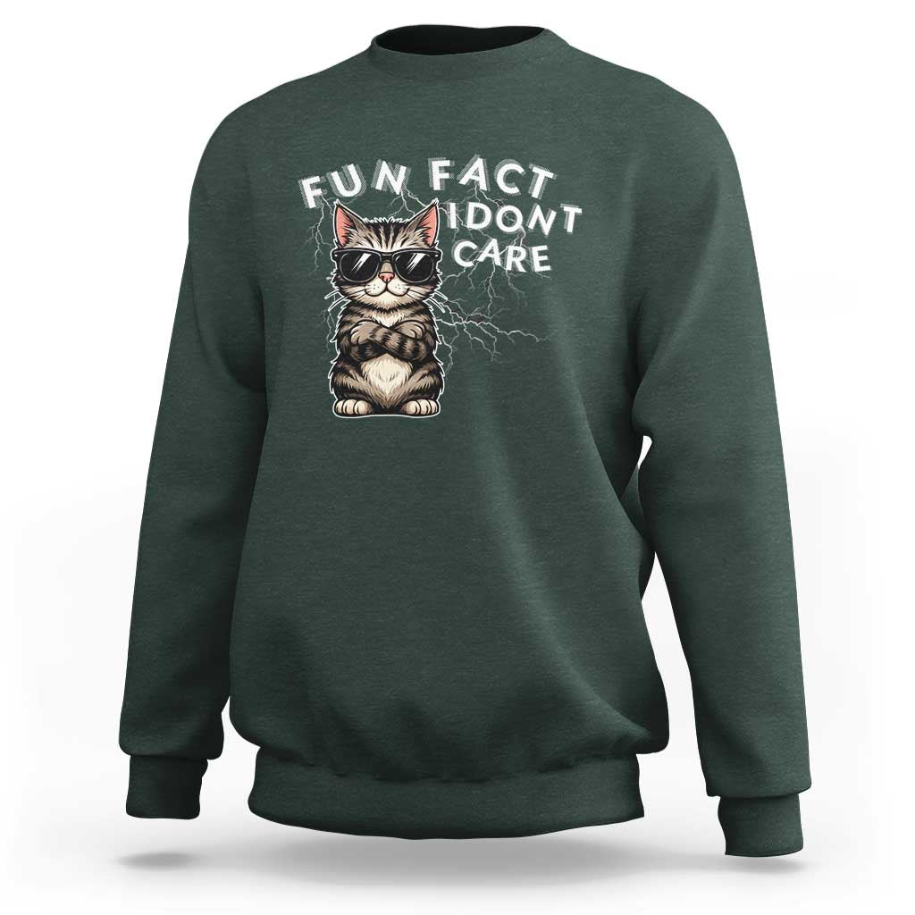 Fun Fact I Do Not Care Sweatshirt Grumpy Cat Lover - Wonder Print Shop
