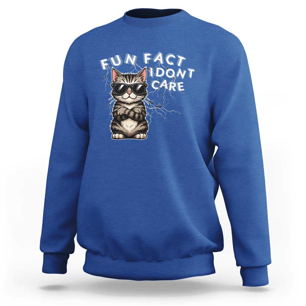 Fun Fact I Do Not Care Sweatshirt Grumpy Cat Lover - Wonder Print Shop