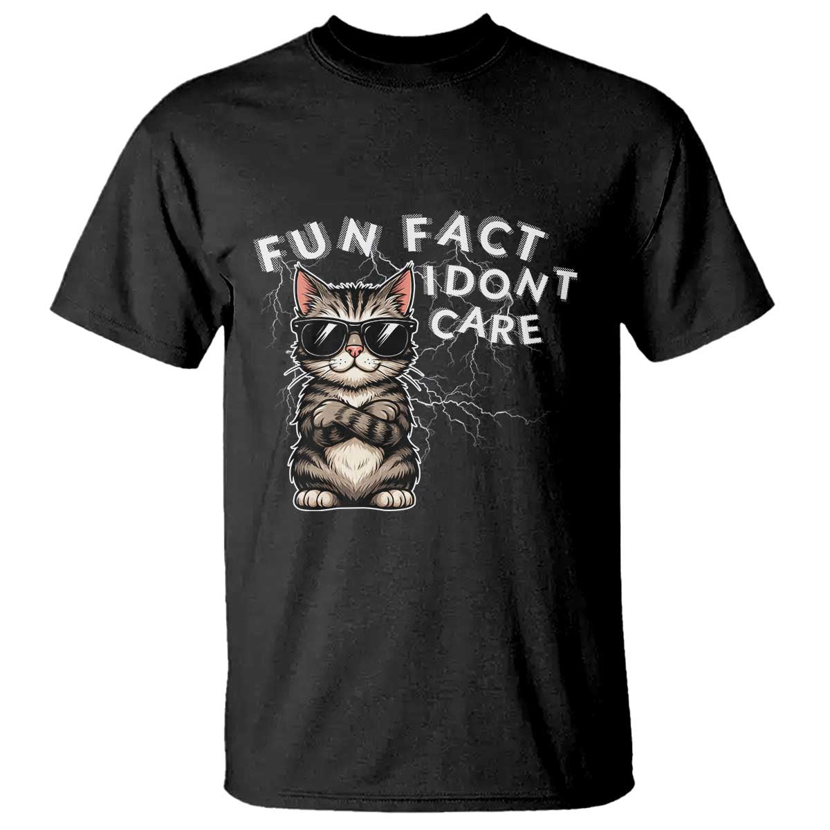 Fun Fact I Do Not Care T Shirt Grumpy Cat Lover - Wonder Print Shop