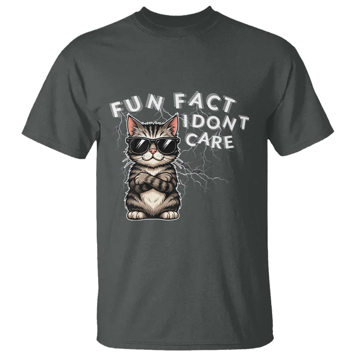 Fun Fact I Do Not Care T Shirt Grumpy Cat Lover - Wonder Print Shop