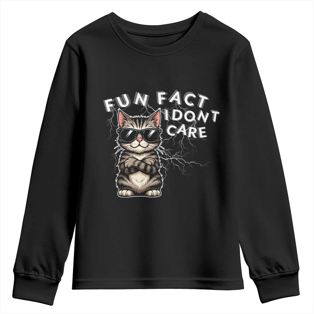 Fun Fact I Do Not Care Youth Sweatshirt Grumpy Cat Lover - Wonder Print Shop