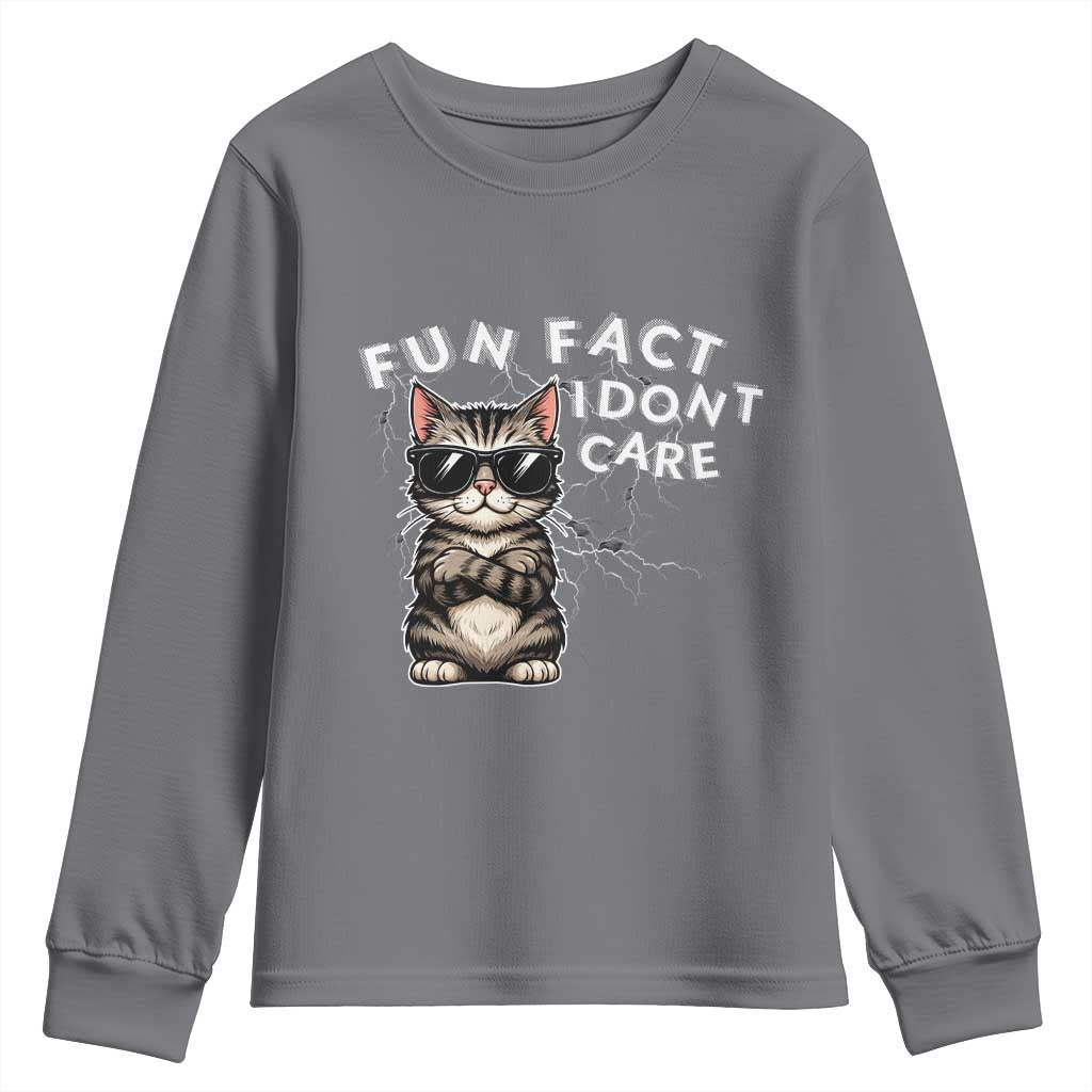 Fun Fact I Do Not Care Youth Sweatshirt Grumpy Cat Lover - Wonder Print Shop