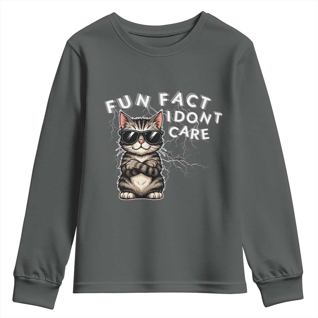 Fun Fact I Do Not Care Youth Sweatshirt Grumpy Cat Lover - Wonder Print Shop
