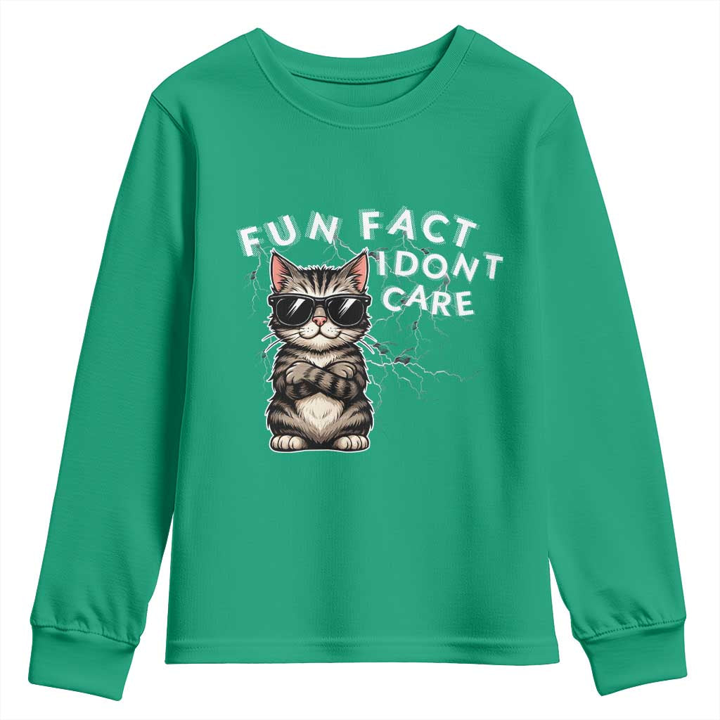 Fun Fact I Do Not Care Youth Sweatshirt Grumpy Cat Lover - Wonder Print Shop