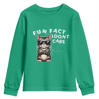 Fun Fact I Do Not Care Youth Sweatshirt Grumpy Cat Lover - Wonder Print Shop