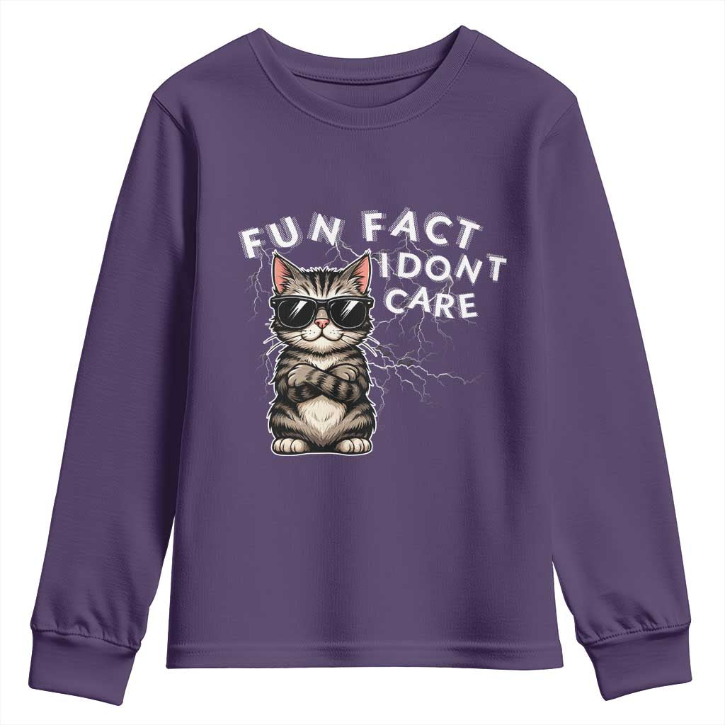 Fun Fact I Do Not Care Youth Sweatshirt Grumpy Cat Lover - Wonder Print Shop