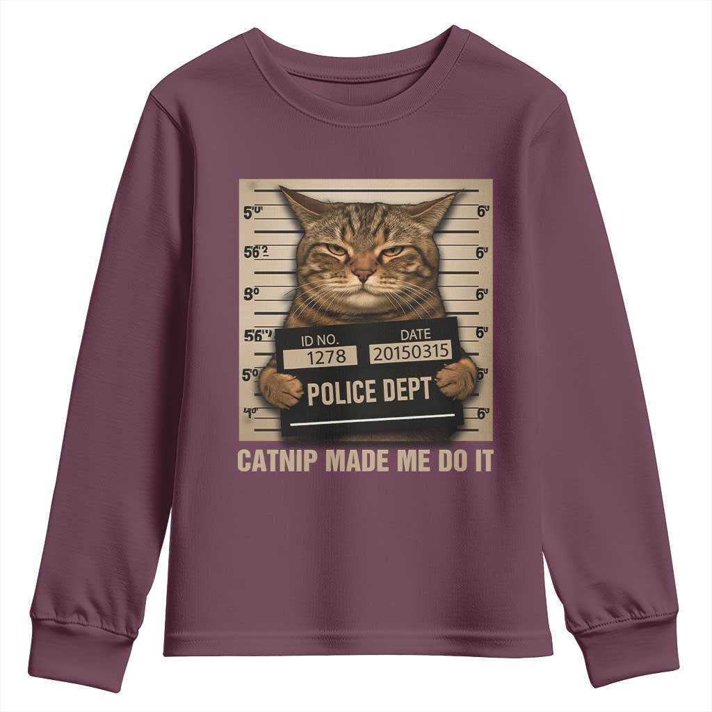Funny Cat Mugshot Youth Sweatshirt Catnip Made Me Do It - Wonder Print Shop