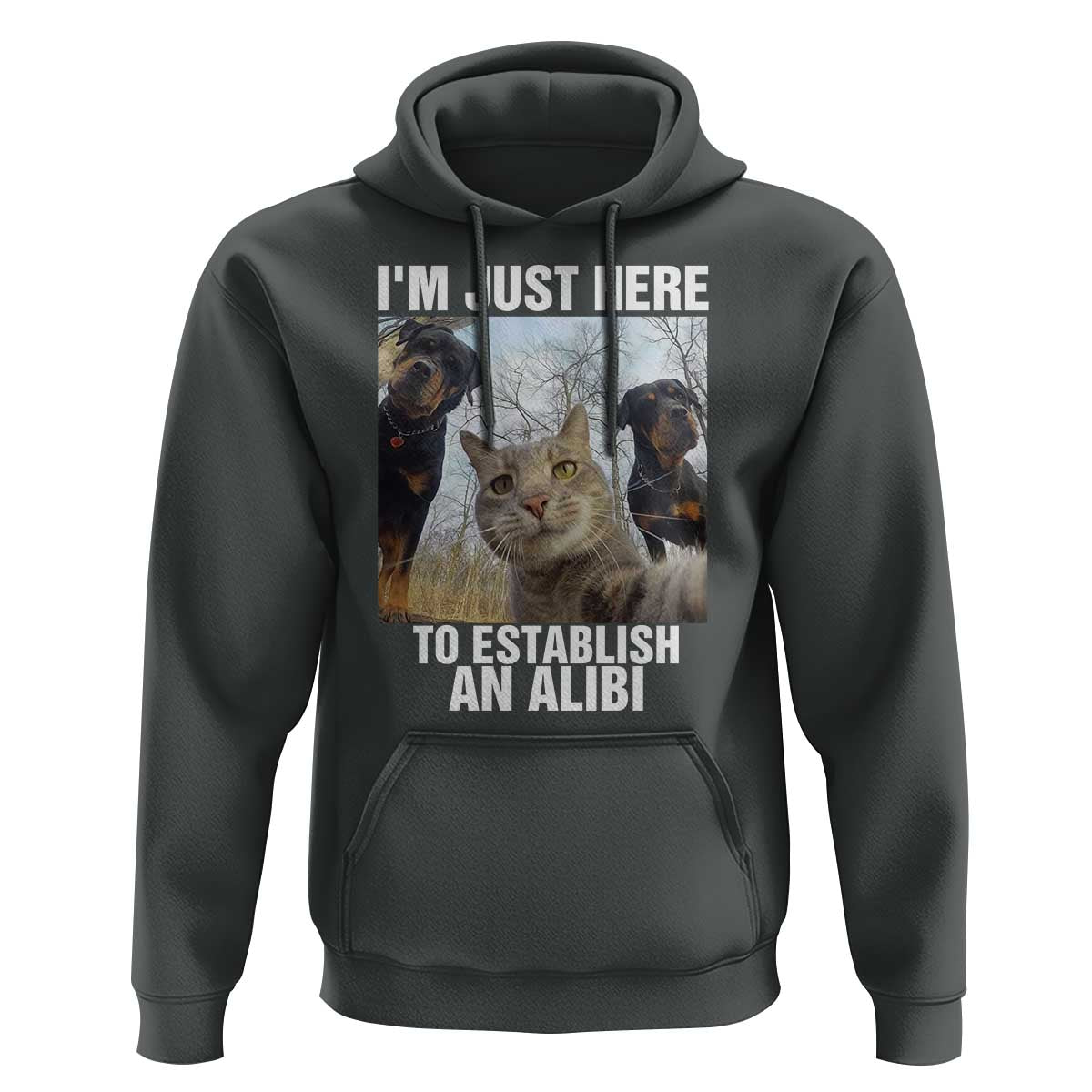 Funny Cat Dog Selfie Hoodie I Am Just Here To Establish An Alibi - Wonder Print Shop