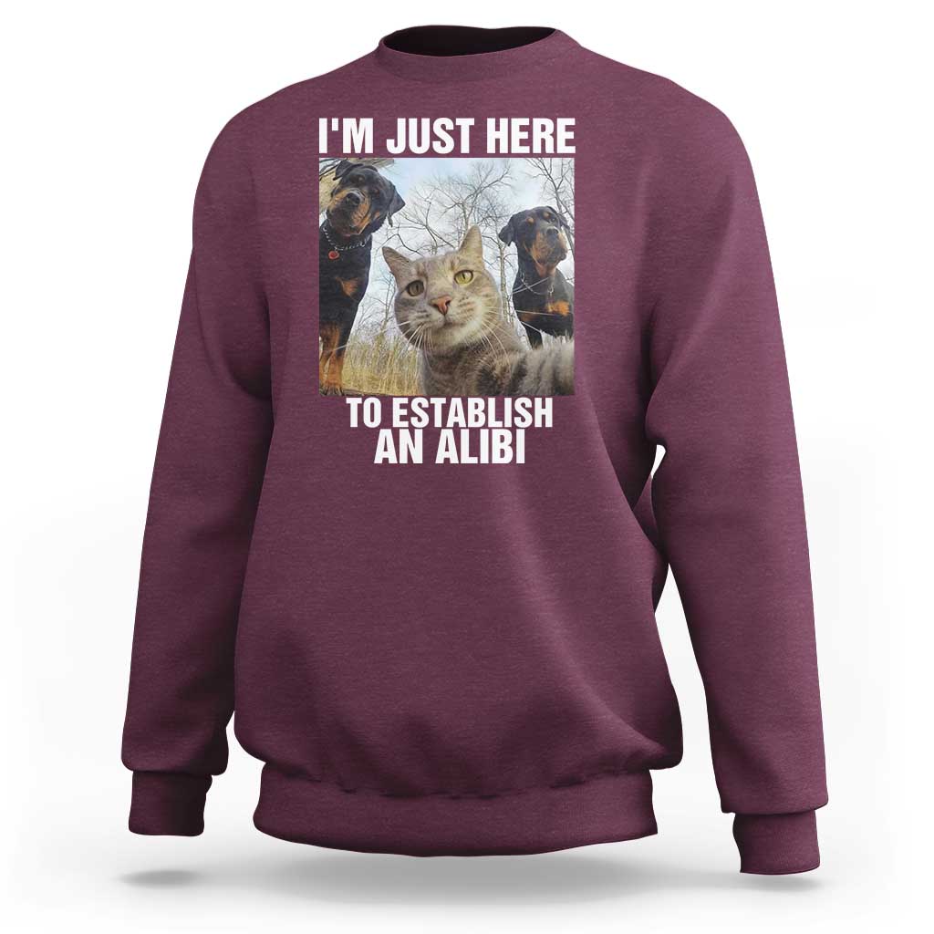 Funny Cat Dog Selfie Sweatshirt I Am Just Here To Establish An Alibi - Wonder Print Shop