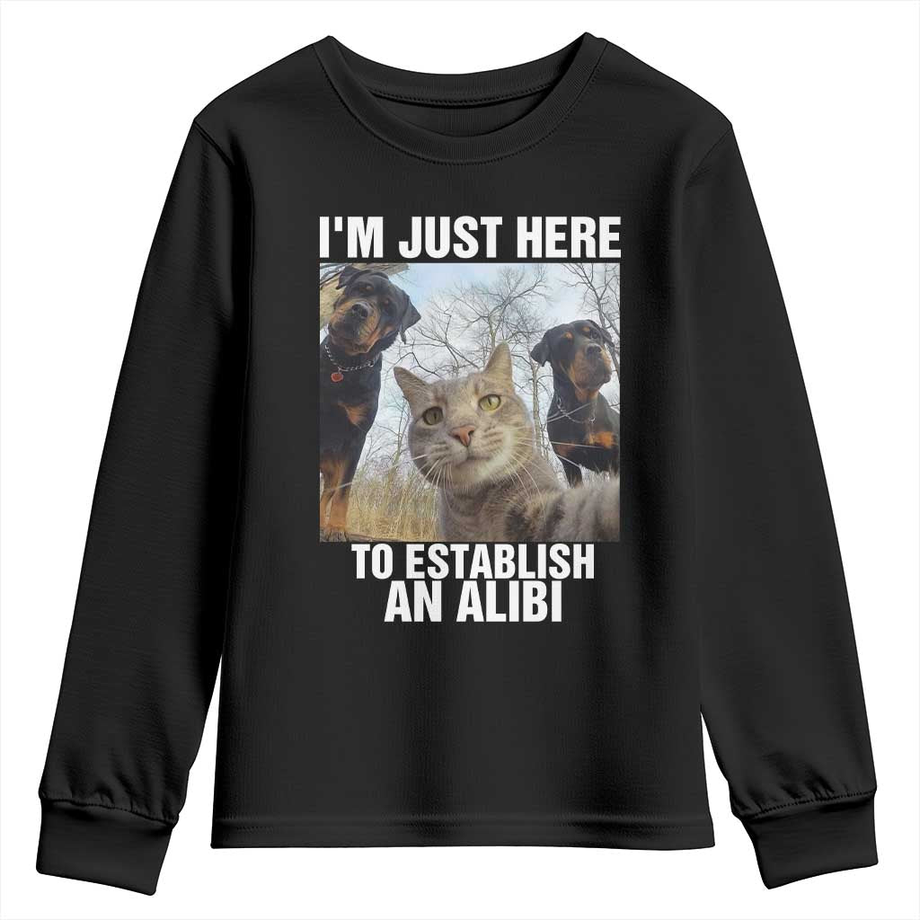 Funny Cat Dog Selfie Youth Sweatshirt I Am Just Here To Establish An Alibi - Wonder Print Shop