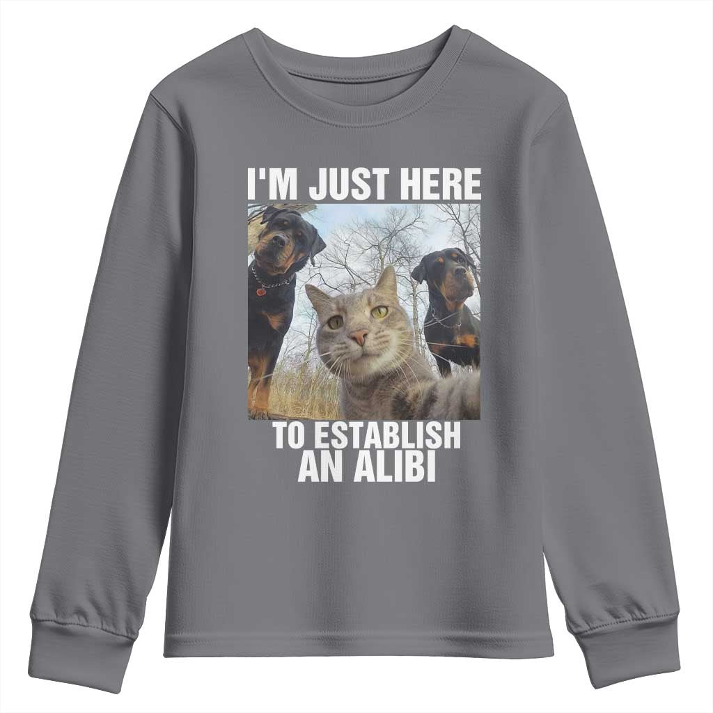 Funny Cat Dog Selfie Youth Sweatshirt I Am Just Here To Establish An Alibi - Wonder Print Shop