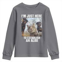 Funny Cat Dog Selfie Youth Sweatshirt I Am Just Here To Establish An Alibi - Wonder Print Shop