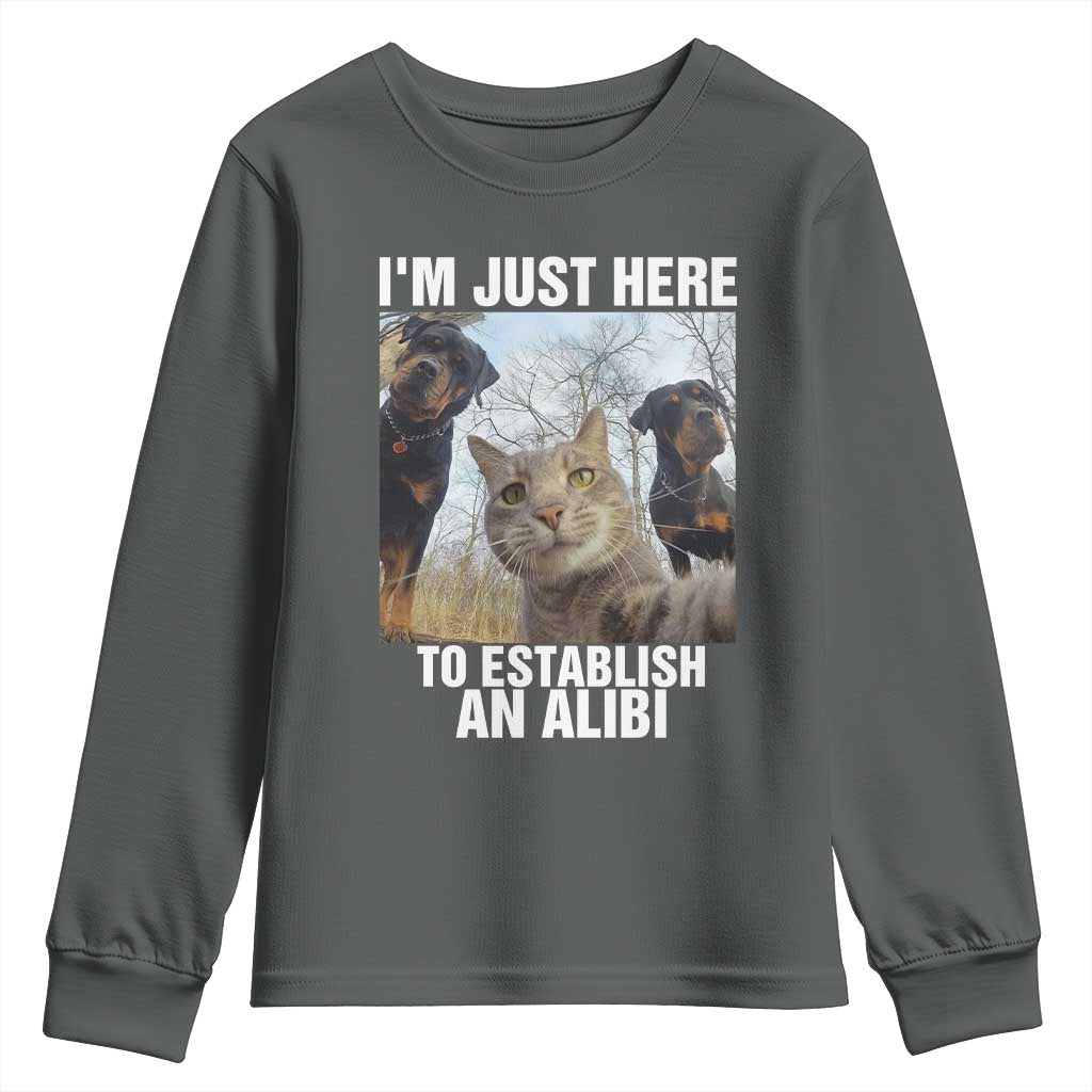 Funny Cat Dog Selfie Youth Sweatshirt I Am Just Here To Establish An Alibi - Wonder Print Shop