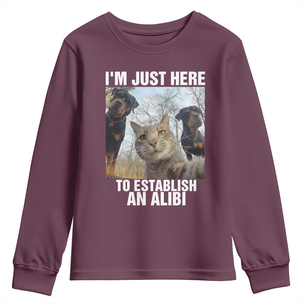 Funny Cat Dog Selfie Youth Sweatshirt I Am Just Here To Establish An Alibi - Wonder Print Shop