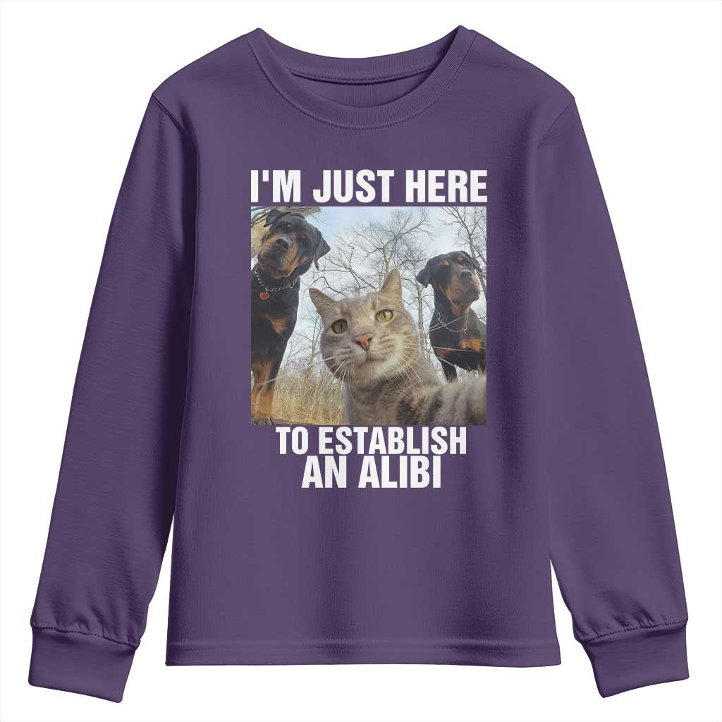Funny Cat Dog Selfie Youth Sweatshirt I Am Just Here To Establish An Alibi - Wonder Print Shop