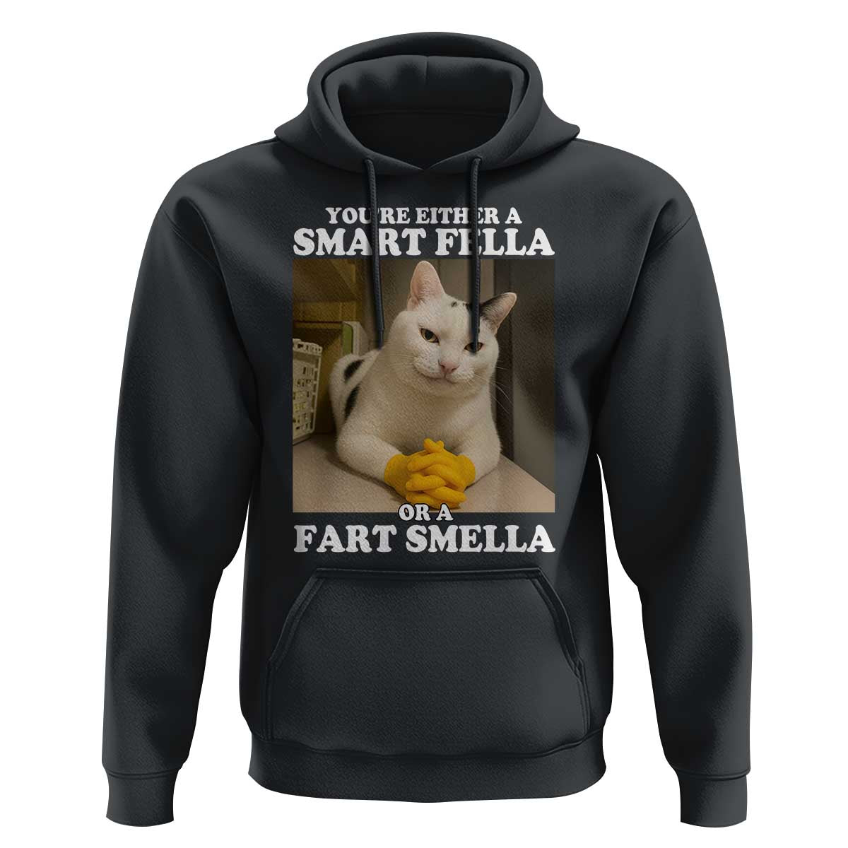 Funny Cat Meme Hoodie You Are Either A Smart Fella Or A Fart Smella - Wonder Print Shop