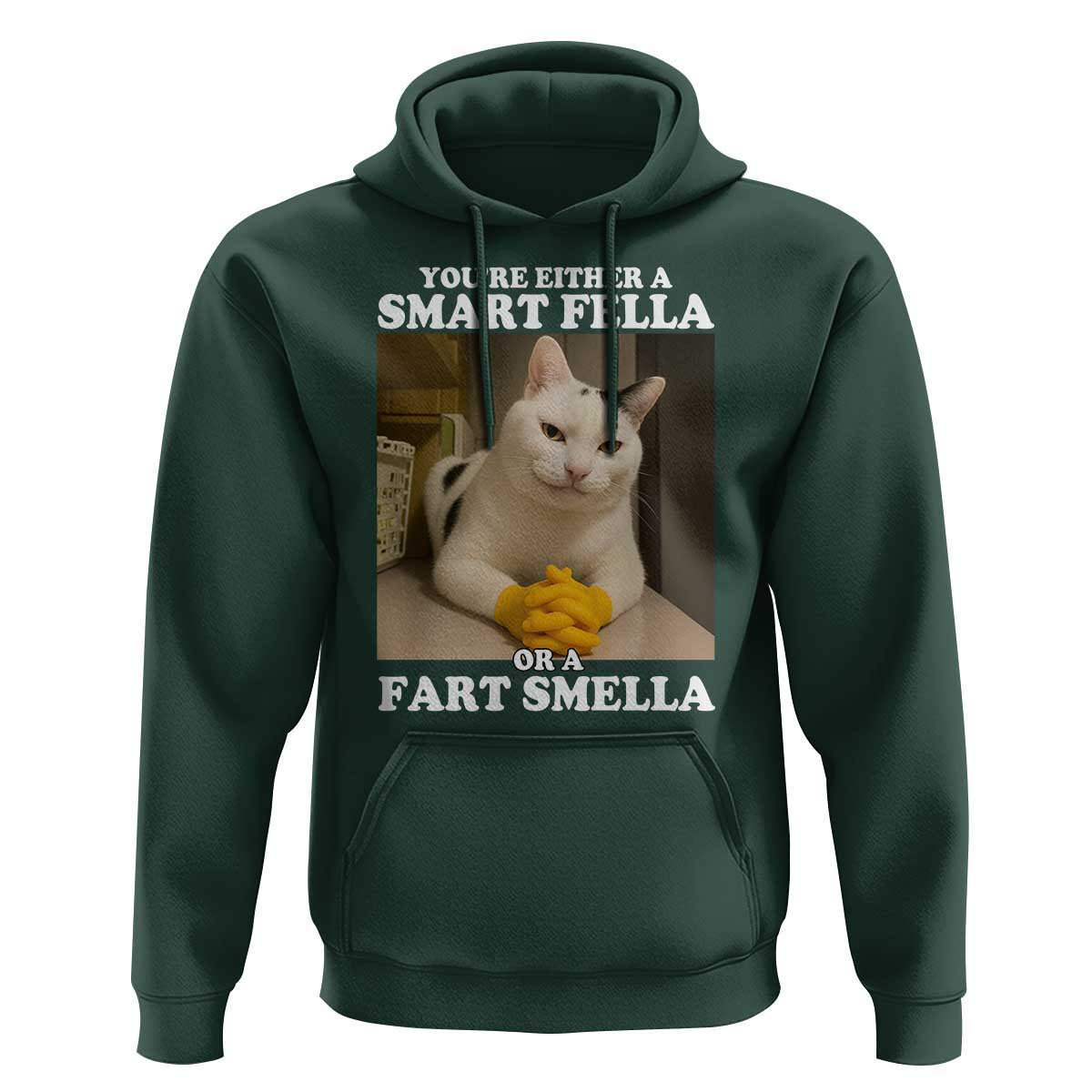 Funny Cat Meme Hoodie You Are Either A Smart Fella Or A Fart Smella - Wonder Print Shop