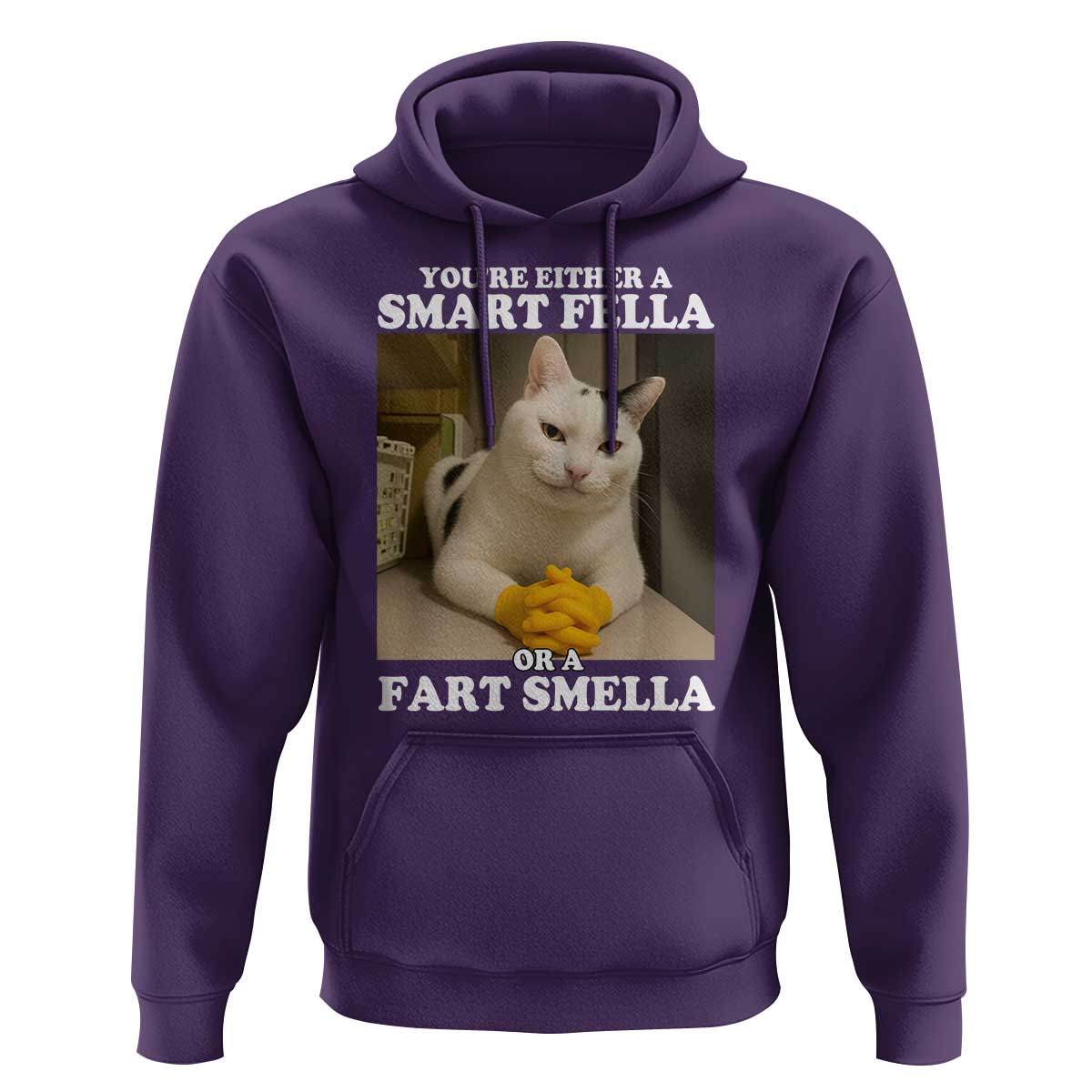 Funny Cat Meme Hoodie You Are Either A Smart Fella Or A Fart Smella - Wonder Print Shop