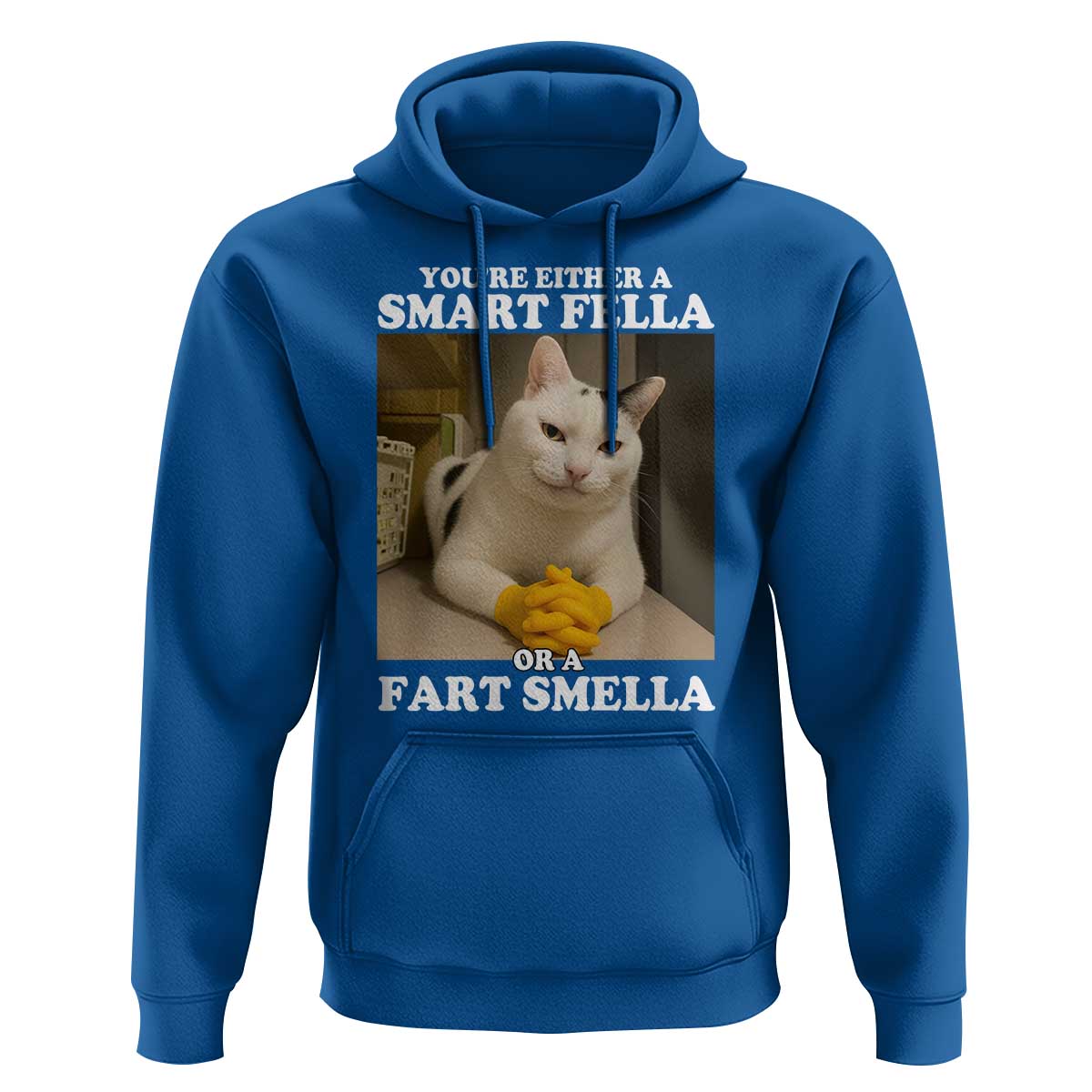 Funny Cat Meme Hoodie You Are Either A Smart Fella Or A Fart Smella - Wonder Print Shop