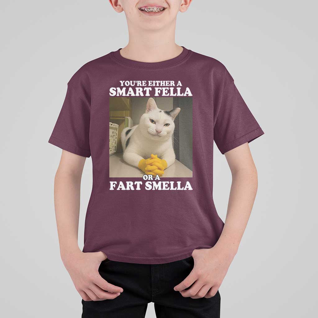 Funny Cat Meme T Shirt For Kid You Are Either A Smart Fella Or A Fart Smella - Wonder Print Shop