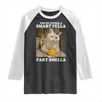 Funny Cat Meme Raglan Shirt You Are Either A Smart Fella Or A Fart Smella - Wonder Print Shop
