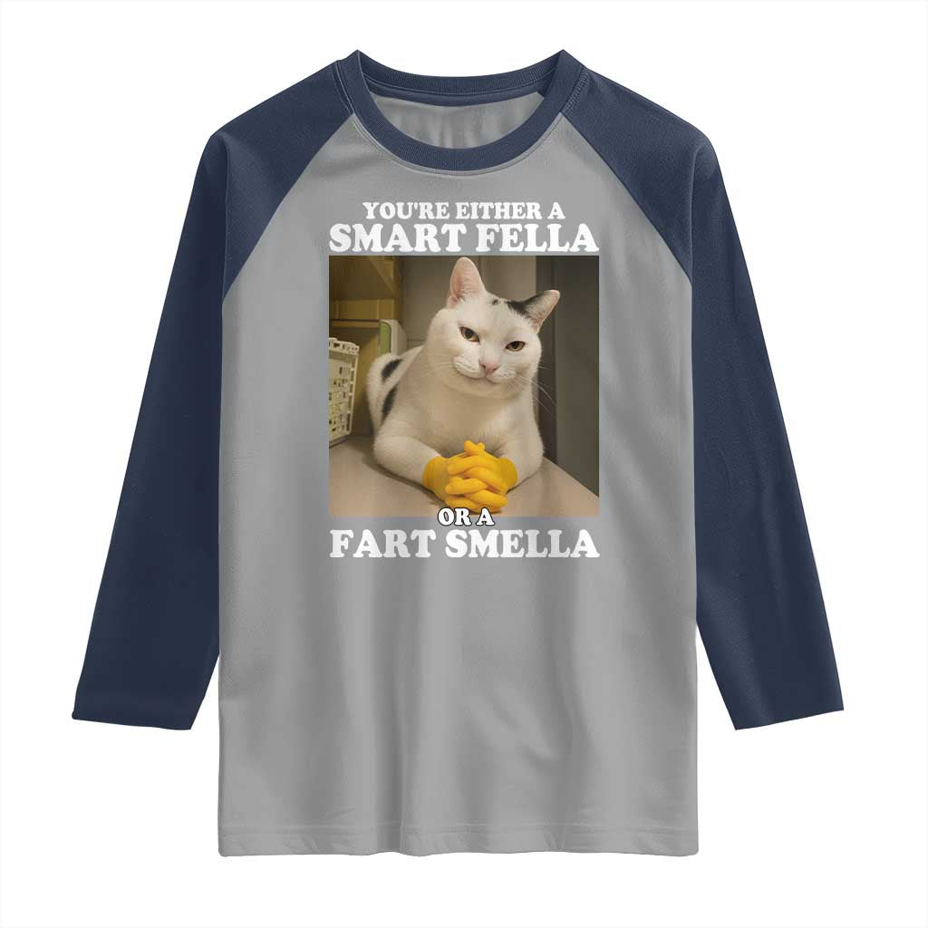 Funny Cat Meme Raglan Shirt You Are Either A Smart Fella Or A Fart Smella - Wonder Print Shop