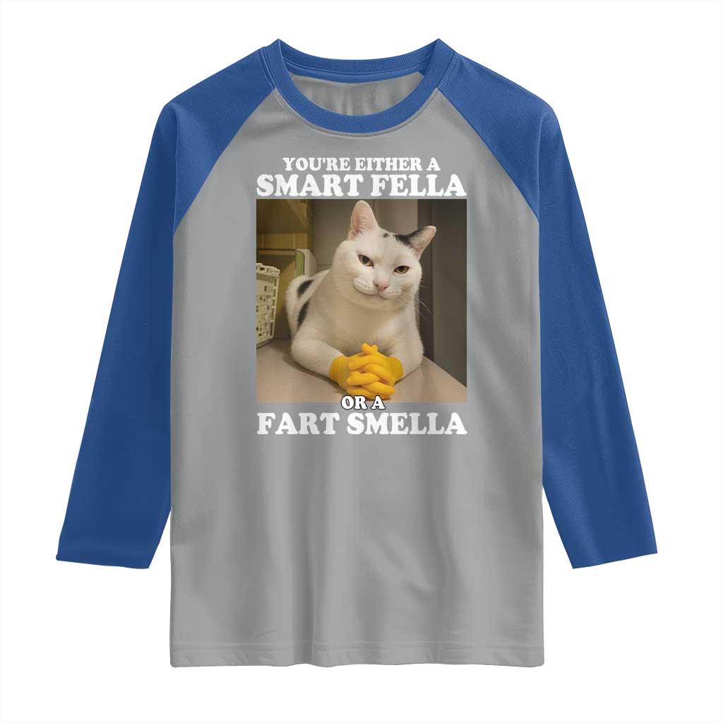 Funny Cat Meme Raglan Shirt You Are Either A Smart Fella Or A Fart Smella - Wonder Print Shop
