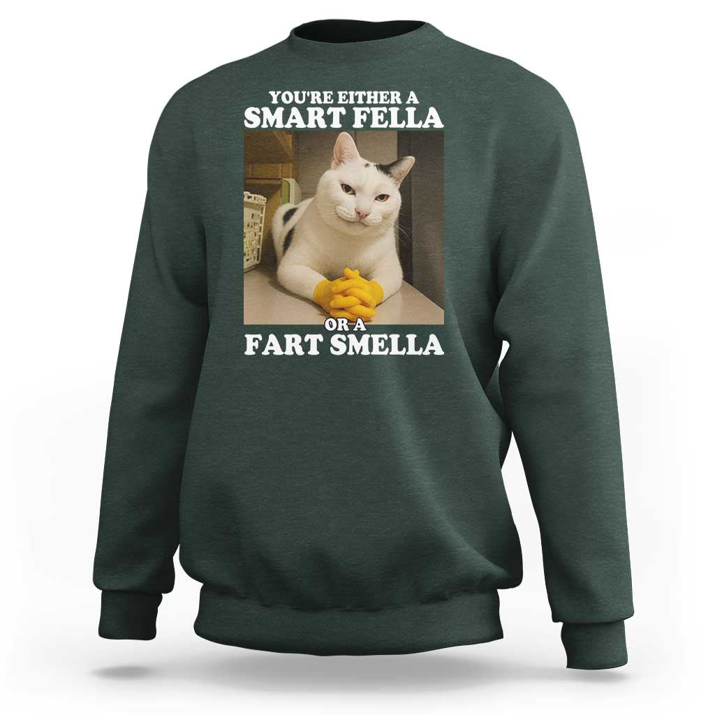 Funny Cat Meme Sweatshirt You Are Either A Smart Fella Or A Fart Smella - Wonder Print Shop